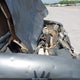 1FTYR14U07PA20844 2007 Ford Ranger Sport/Stx/Xl/Xlt auction photo thumbnail 19