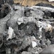2T3BF33V89W009876 2009 Toyota Rav4 auction photo thumbnail 7