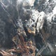 2T3BF33V89W009876 2009 Toyota Rav4 auction photo thumbnail 11