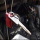 1FTNW21P14ED39953 2004 Ford F-250 Lariat/Xl/Xlt auction photo thumbnail 11