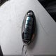 1N4AL3AP1DC208259 2013 Nissan Altima 2.5 Sl auction photo thumbnail 11