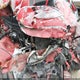2G2FS22K322117382 2002 Pontiac Firebird auction photo thumbnail 10