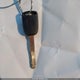 2HGFC2F61LH523425 2020 Honda Civic Lx auction photo thumbnail 11