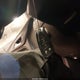 3GNAXUEV1KL212088 2019 Chevrolet Equinox Lt auction photo thumbnail 11