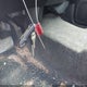 3GCUKREC7JG102430 2018 Chevrolet Silverado 1500 1Lt auction photo thumbnail 11