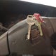 1GCHK24U15E300520 2005 Chevrolet Silverado 2500Hd Work Truck auction photo thumbnail 11