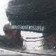 JN8AS5MV9FW251854 2015 Nissan Rogue Select S auction photo thumbnail 11