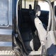 1C4NJRBB1CD637420 2012 Jeep Patriot Sport auction photo thumbnail 8