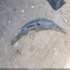 4T1BF1FK2HU277013 2017 Toyota Camry Xse auction photo thumbnail 12