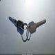 5NPD74LF1HH198400 2017 Hyundai Elantra Se auction photo thumbnail 11