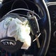 KNDJN2A27G7395393 2016 Kia Soul auction photo thumbnail 11