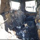3TMLB5JN1SM123997 2025 Toyota Tacoma Sr5 auction photo thumbnail 8