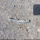 JH4CU2F65AC010286 2010 Acura Tsx 2.4 auction photo thumbnail 12