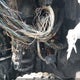 1FT7W2BT7TEC99624 2026 Ford F-250 Xl auction photo thumbnail 12