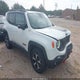 ZACNJDC18MPM30550 2021 Jeep Renegade Trailhawk 4X4 auction photo thumbnail 1