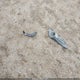 3FADP4BJ4EM160161 2014 Ford Fiesta Se auction photo thumbnail 12