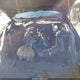 1FA6P8AM7F5329172 2015 Ford Mustang V6 auction photo thumbnail 10