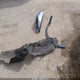 1FMCU0GN0SUA62539 2025 Ford Escape Active auction photo thumbnail 12