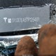 5YJ3E1EA5TF125491 2026 Tesla Model 3 Premium Rear-Wheel Drive/Standard Rear-Wheel Drive auction photo thumbnail 9