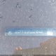 3GCPYFED7LG296401 2020 Chevrolet Silverado 1500 4Wd Short Bed Lt Trail Boss auction photo thumbnail 19