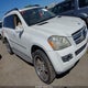 4JGBF71E79A460124 2009 Mercedes-Benz Gl 450 4Matic auction photo thumbnail 1