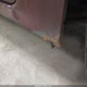 1HGCP26318A066697 2008 Honda Accord 2.4 Lx auction photo thumbnail 19