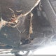 WBA3A5C58EF604539 2014 BMW 328I auction photo thumbnail 12