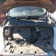 1FMCU9GD7HUA41305 2017 Ford Escape Se auction photo thumbnail 10