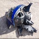 KMHLW4DK8RU021159 2024 Hyundai Elantra N auction photo thumbnail 12