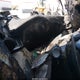 SALYL2RV0JA744481 2018 Land Rover Range Rover Velar P380 Se R-Dynamic auction photo thumbnail 7