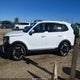 5XYP6DGC2SG686303 2025 Kia Telluride S auction photo thumbnail 14