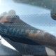 JHLRD78884C004254 2004 Honda Cr-V Ex auction photo thumbnail 9
