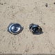 3VWJ17AT6EM653114 2014 Volkswagen Beetle 1.8T auction photo thumbnail 12