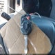 3FAHP0JG0AR238769 2010 Ford Fusion Sel auction photo thumbnail 11