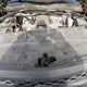1GCNCPEC4EZ251874 2014 Chevrolet Silverado 1500 Work Truck 1Wt auction photo thumbnail 10