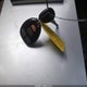 1G1ZG57B294142811 2009 Chevrolet Malibu Ls auction photo thumbnail 11