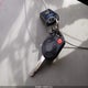 1FMCU0EGXCKA34796 2012 Ford Escape Limited auction photo thumbnail 11
