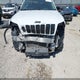 1C4PJMMB7PD100422 2023 Jeep Cherokee Altitude Lux 4X4 auction photo thumbnail 6