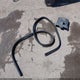 1FAHP3F29CL183268 2012 Ford Focus Se auction photo thumbnail 12