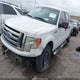 1FTFW1EF5BFA36567 2011 Ford F-150 Xlt auction photo thumbnail 2