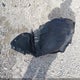 JM3KFACM8M0337184 2021 Mazda Cx-5 Touring auction photo thumbnail 12