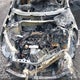 3GNAXHEV9KL250885 2019 Chevrolet Equinox Ls auction photo thumbnail 10