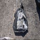 5N1AZ2MH5JN135660 2018 Nissan Murano Sv auction photo thumbnail 12