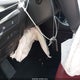 JM1BPBLL4T1850105 2026 Mazda Mazda3 2.5 S Carbon Edition auction photo thumbnail 11