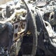1G1ZE5ST8HF223580 2017 Chevrolet Malibu 1Lt auction photo thumbnail 11