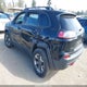 1C4PJMBNXKD230247 2019 Jeep Cherokee Trailhawk 4X4 auction photo thumbnail 3