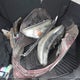 2HKRM4H78GH667142 2016 Honda Cr-V Ex-L auction photo thumbnail 12