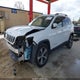 1C4PJLDB7KD302633 2019 Jeep Cherokee Limited Fwd auction photo thumbnail 2