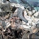 5XYPGDA59GG175489 2016 Kia Sorento 3.3L Lx auction photo thumbnail 17