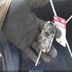 KL7CJKSB8FB229878 2015 Chevrolet Trax 1Ls auction photo thumbnail 11